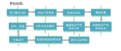 知識(shí)產(chǎn)權(quán)專業(yè)服務(wù)的深度解析與戰(zhàn)略價(jià)值